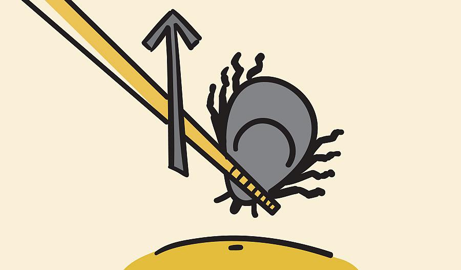 Cómo Impedir las Picaduras de Garrapatas y la Enfermedad de Lyme.