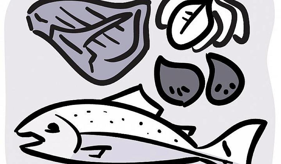 Ilustración de alimentos ricos en hierro, incluyendo pescado, carne roja, frijoles y vegetales de hoja verde oscura.