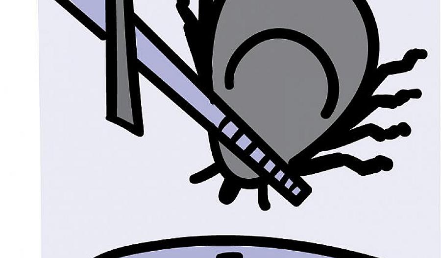 Ilustración de una garrapata agarrada por pinzas y levantada de la piel.