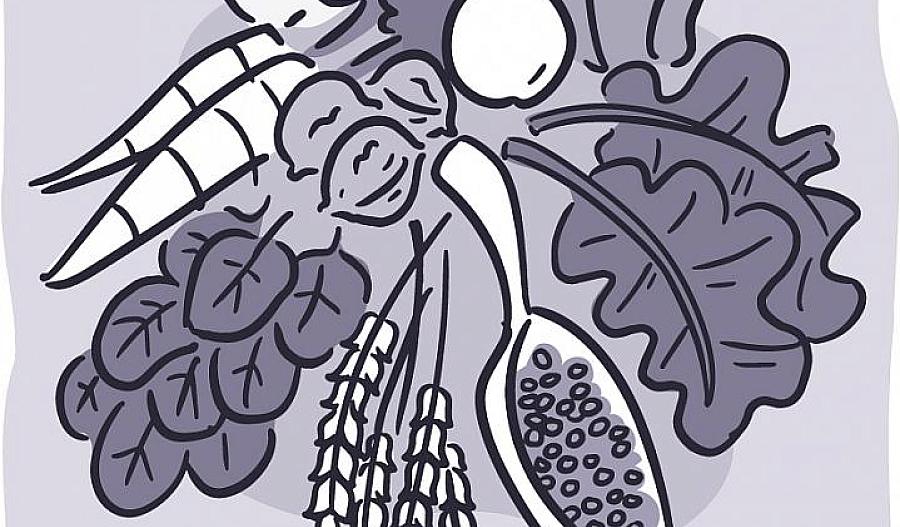 Ilustración de frutas, verduras y granos.