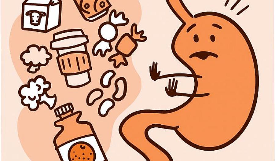 Ilustración de un estómago diciendo no a diferentes alimentos