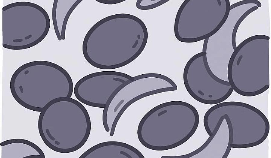 Ilustración de células falciformes y de células sanas