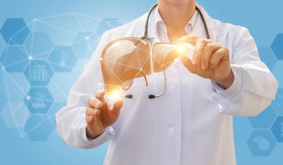 Trabajador de la salud que muestra una imagen de un hígado