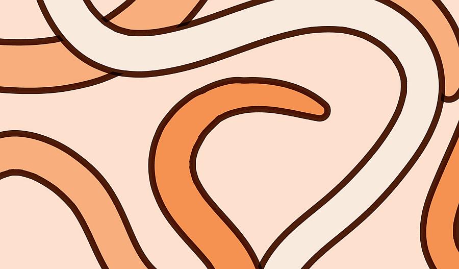 Una ilustración muestra a varios gusanos C. elegans.